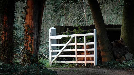 Gate, Birlingham, Worcestershire, March 28th, 2005