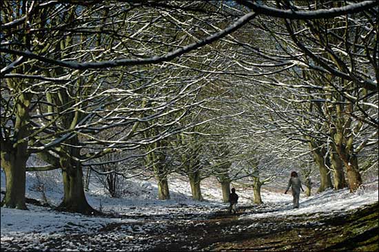 Happy Valley, Great Malvern, Worcestershire, January 23rd, 2005